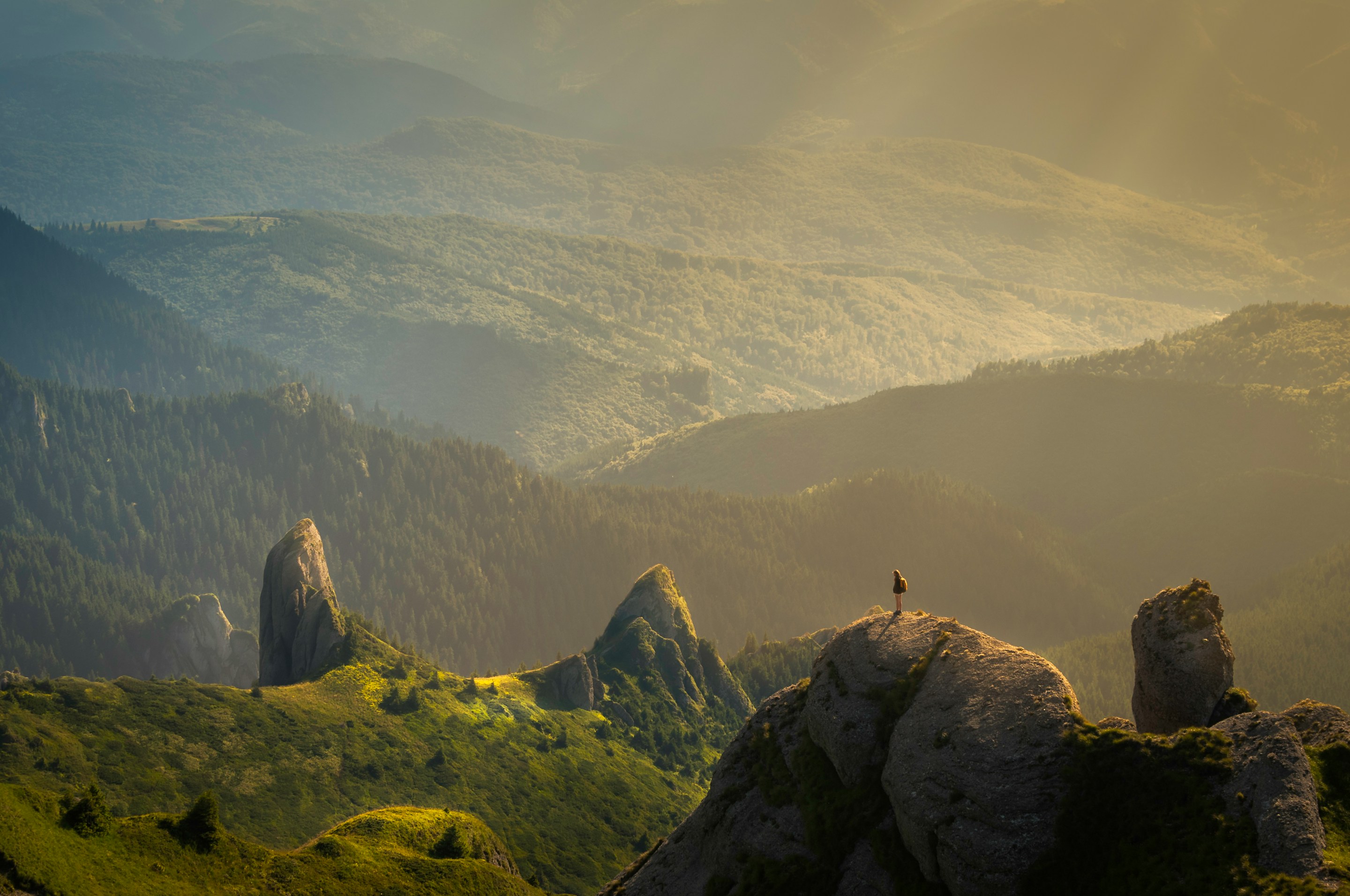Eco-friendly background showcasing natural ingredients