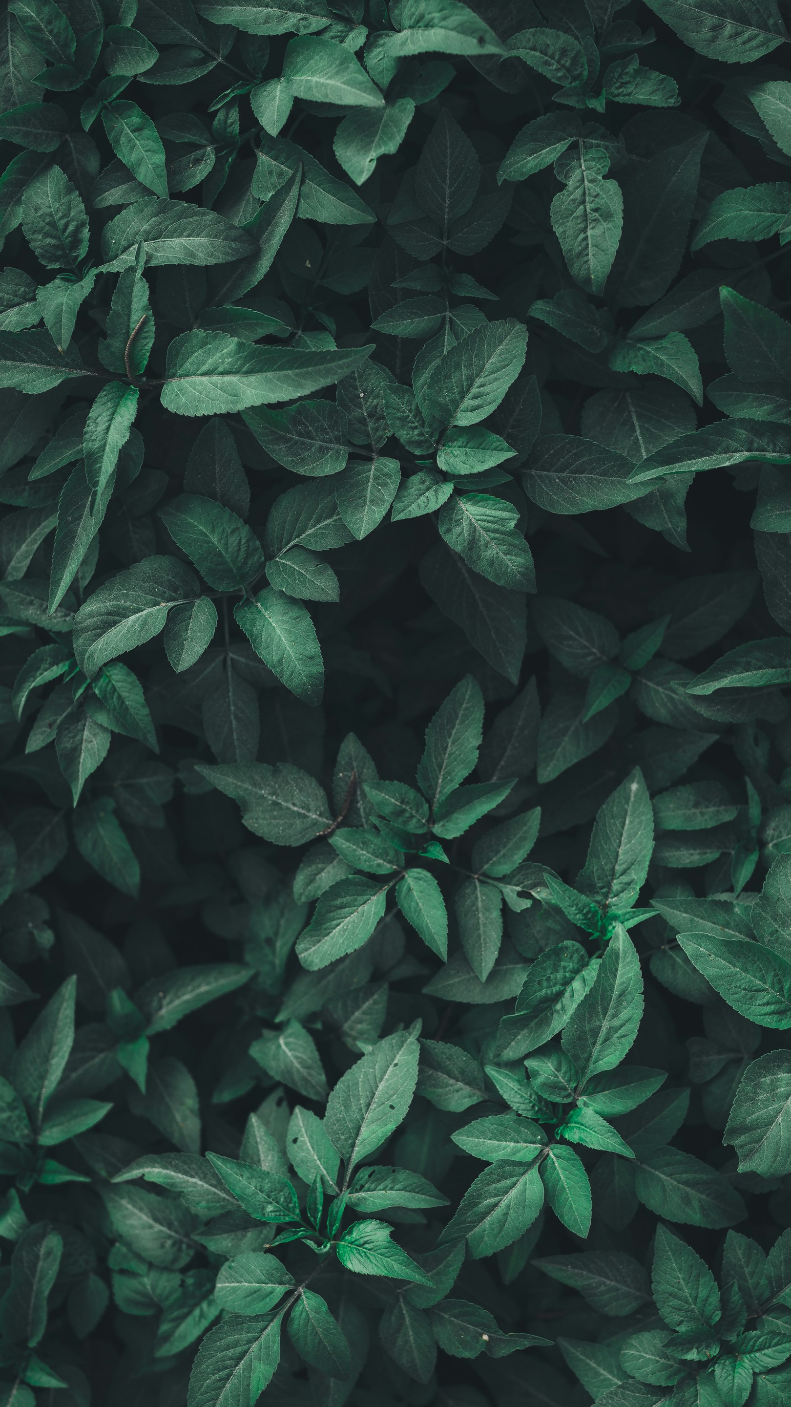 We always with the environment in mind